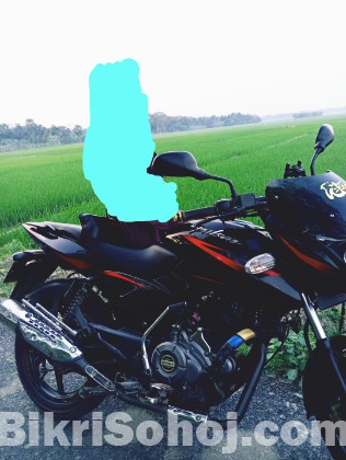 Palser150
